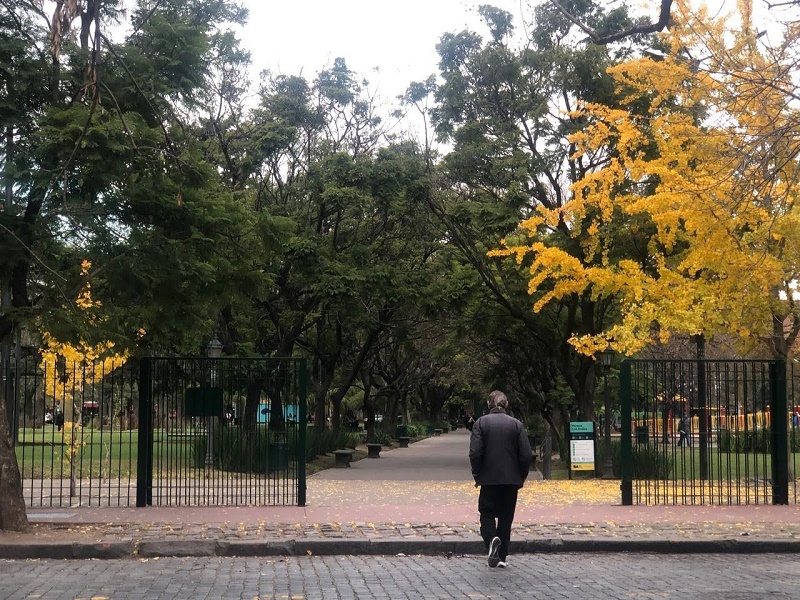 ARBOL DORADO